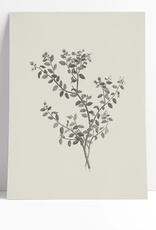 Branch Etching Fine Art Print 9x12