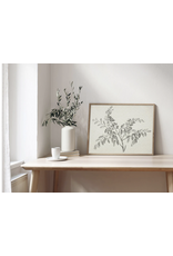 Flowering Branch Fine Art Print