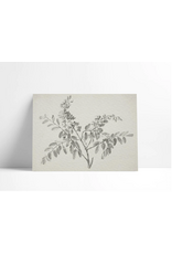 Flowering Branch Fine Art Print