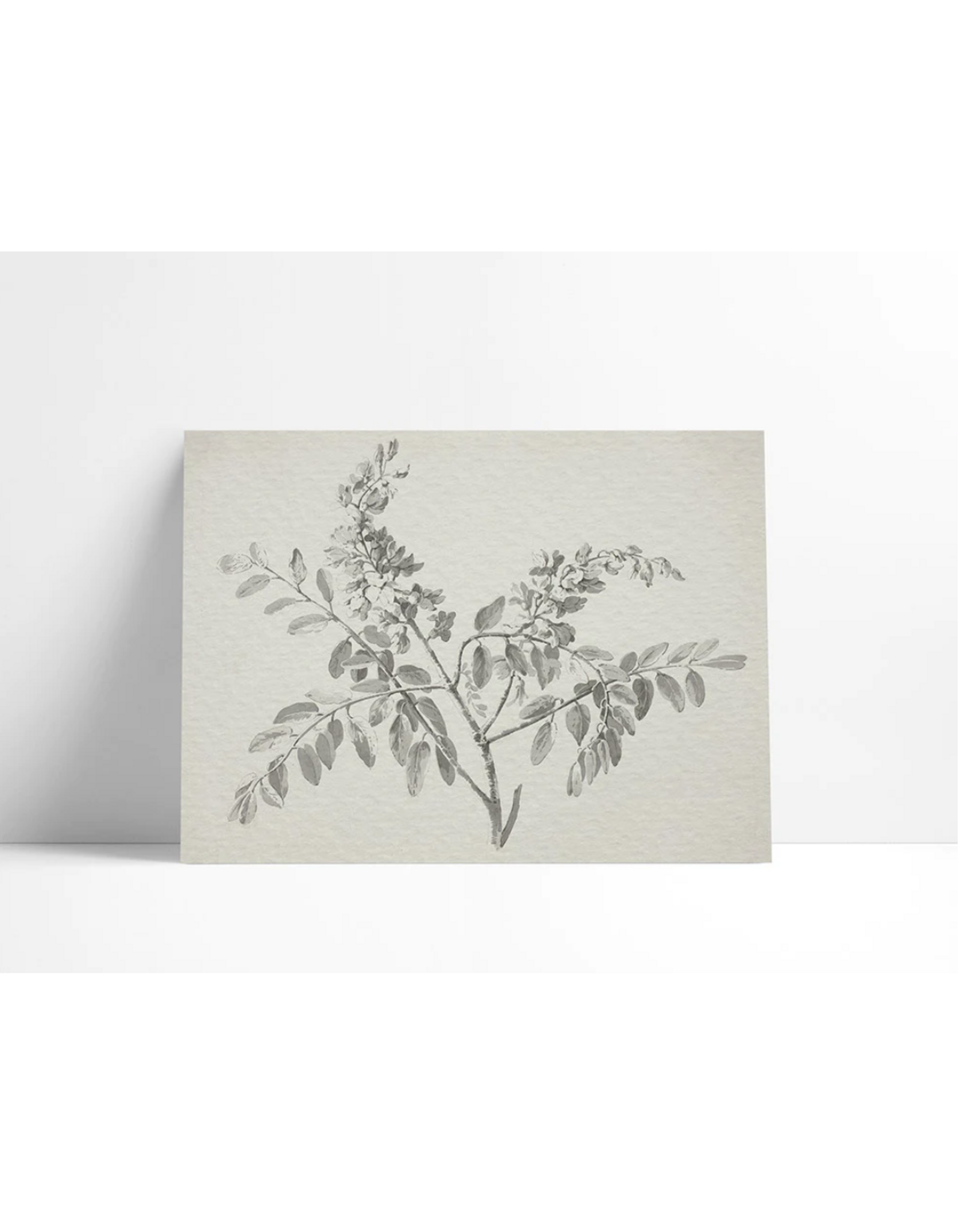 Flowering Branch Fine Art Print