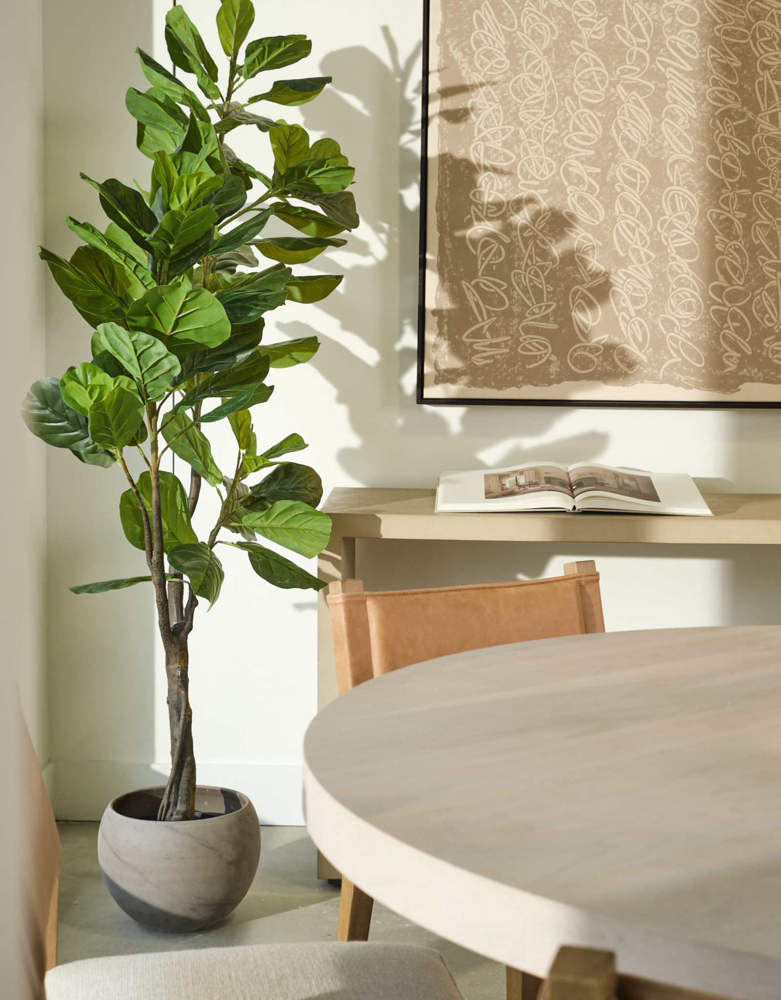 6' Potted Fiddle Leaf Fig Tree