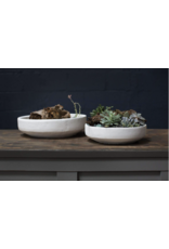 Zane Bowl 11.75" x 3.25"