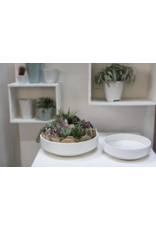 Zane Bowl 11.75" x 3.25"