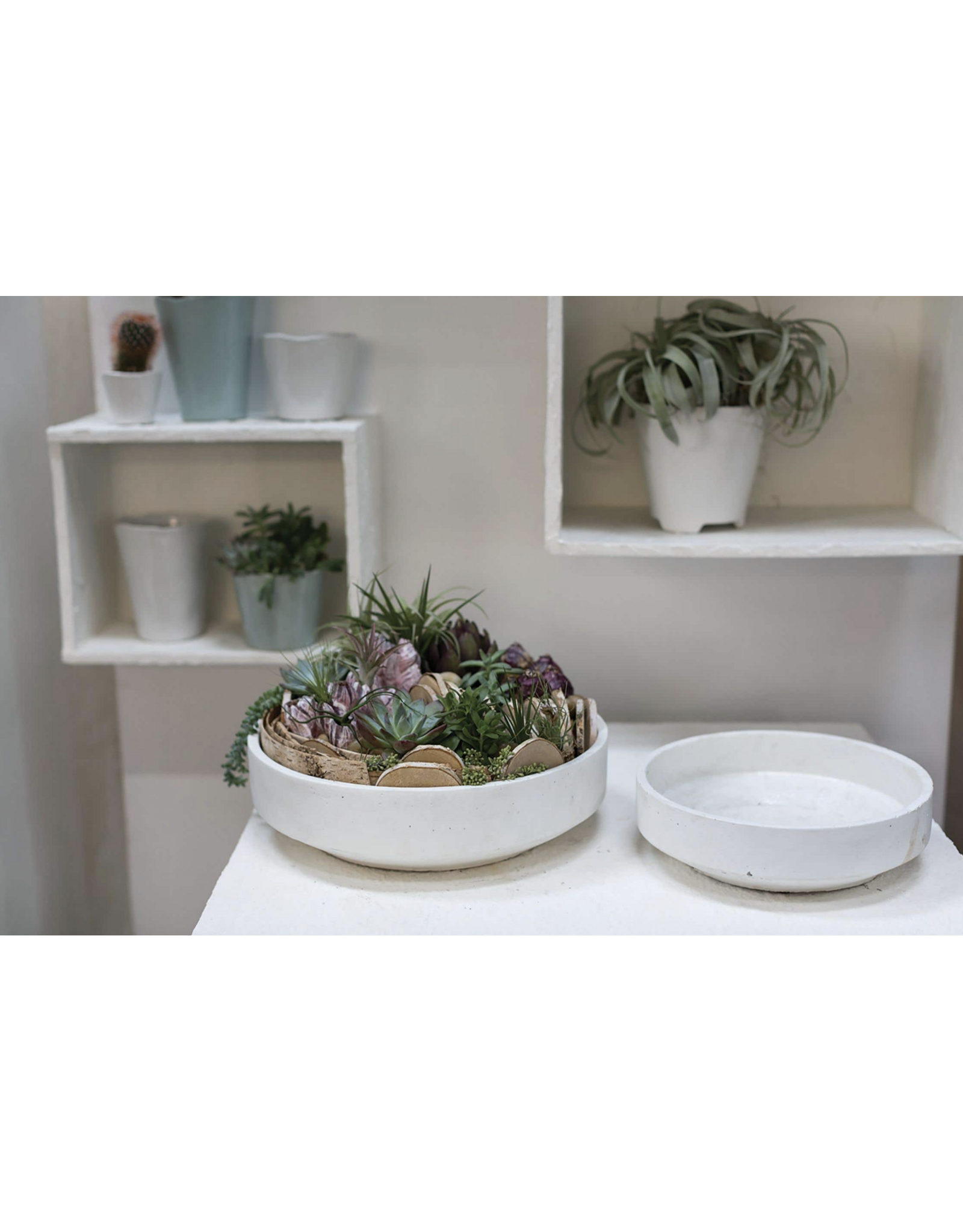 Zane Bowl 11.75" x 3.25"