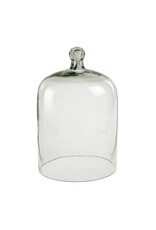 Glass Cloche