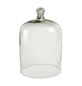 Glass Cloche