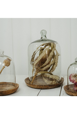 Glass Cloche