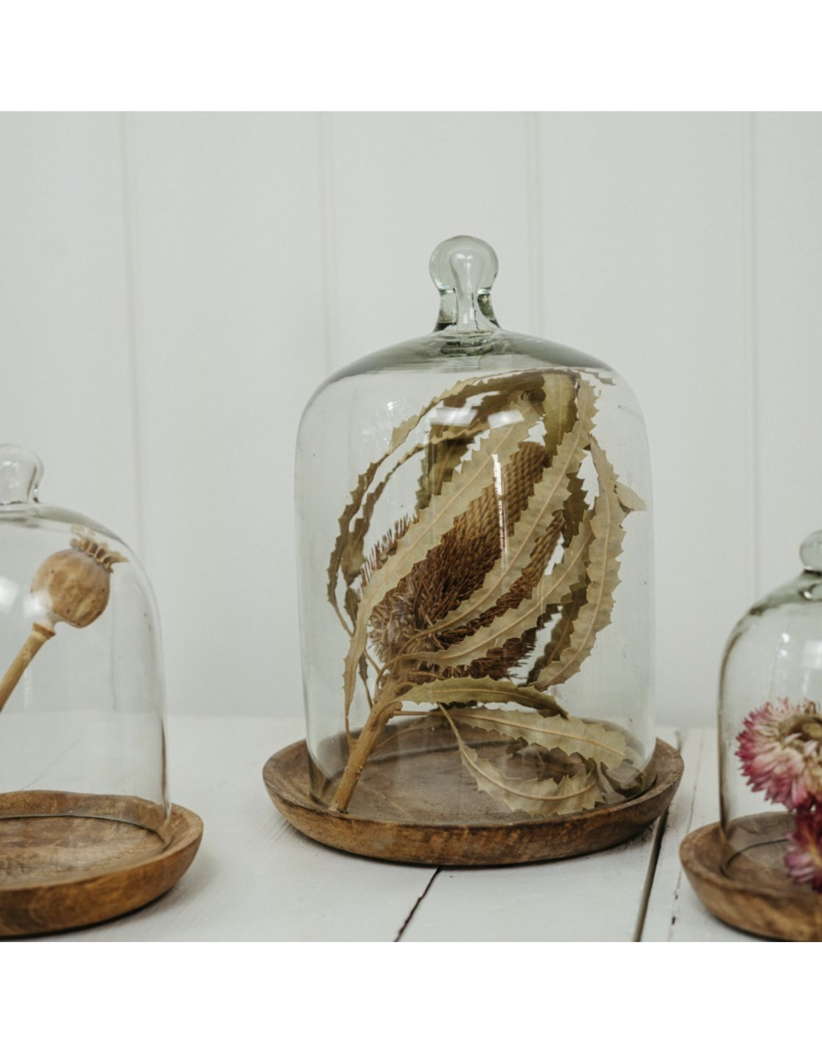 Glass Cloche