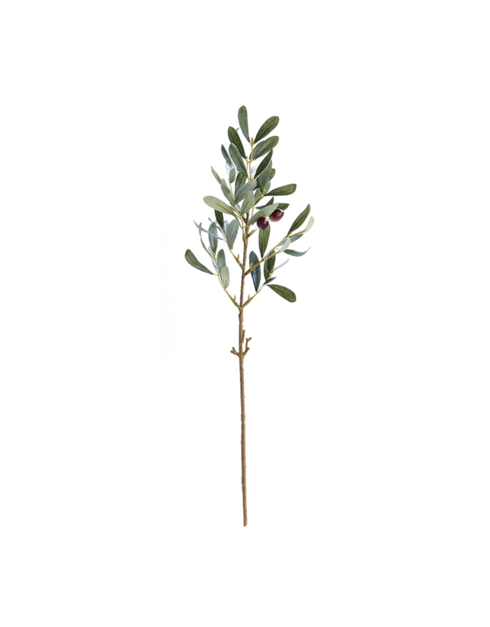 Olive Stem w/ Olives 19.5"