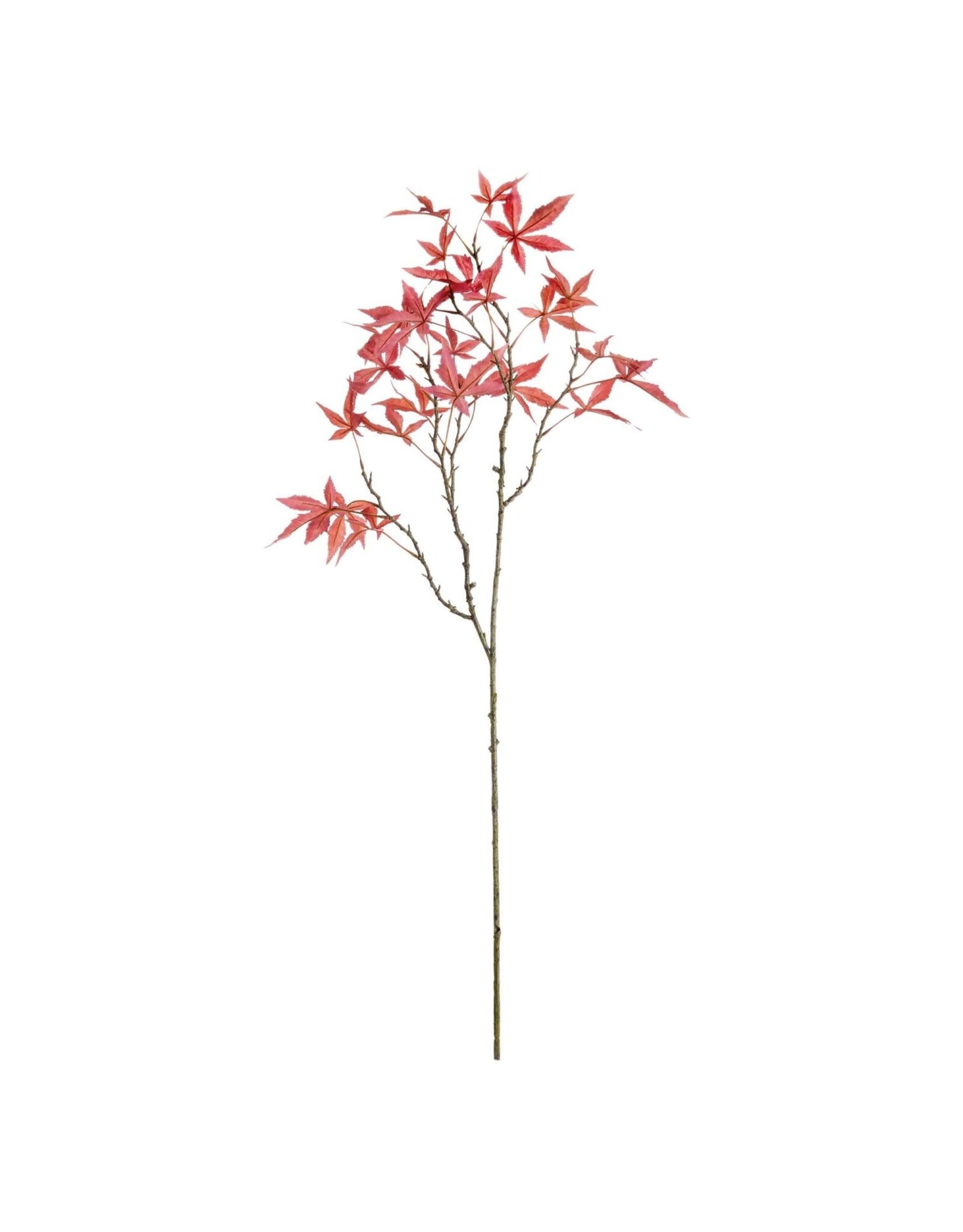 Maple Leaf Branch 43"