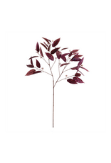 Eucalyptus Seed Branch 36.5"