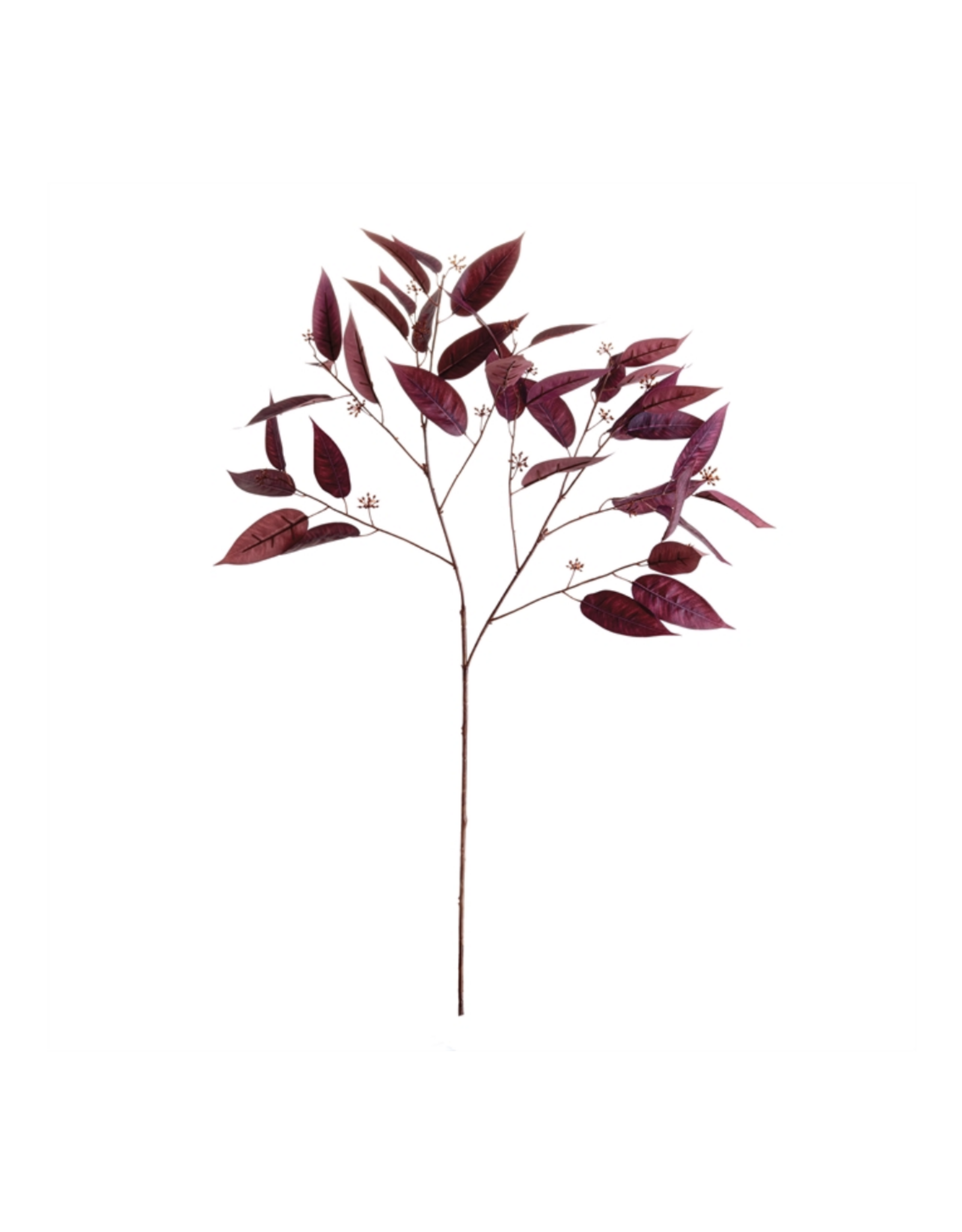 Eucalyptus Seed Branch 36.5"