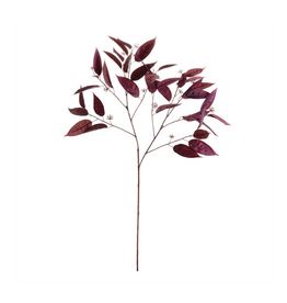 Eucalyptus Seed Branch 36.5"