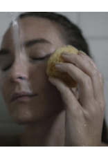 Silk Sea Sponge