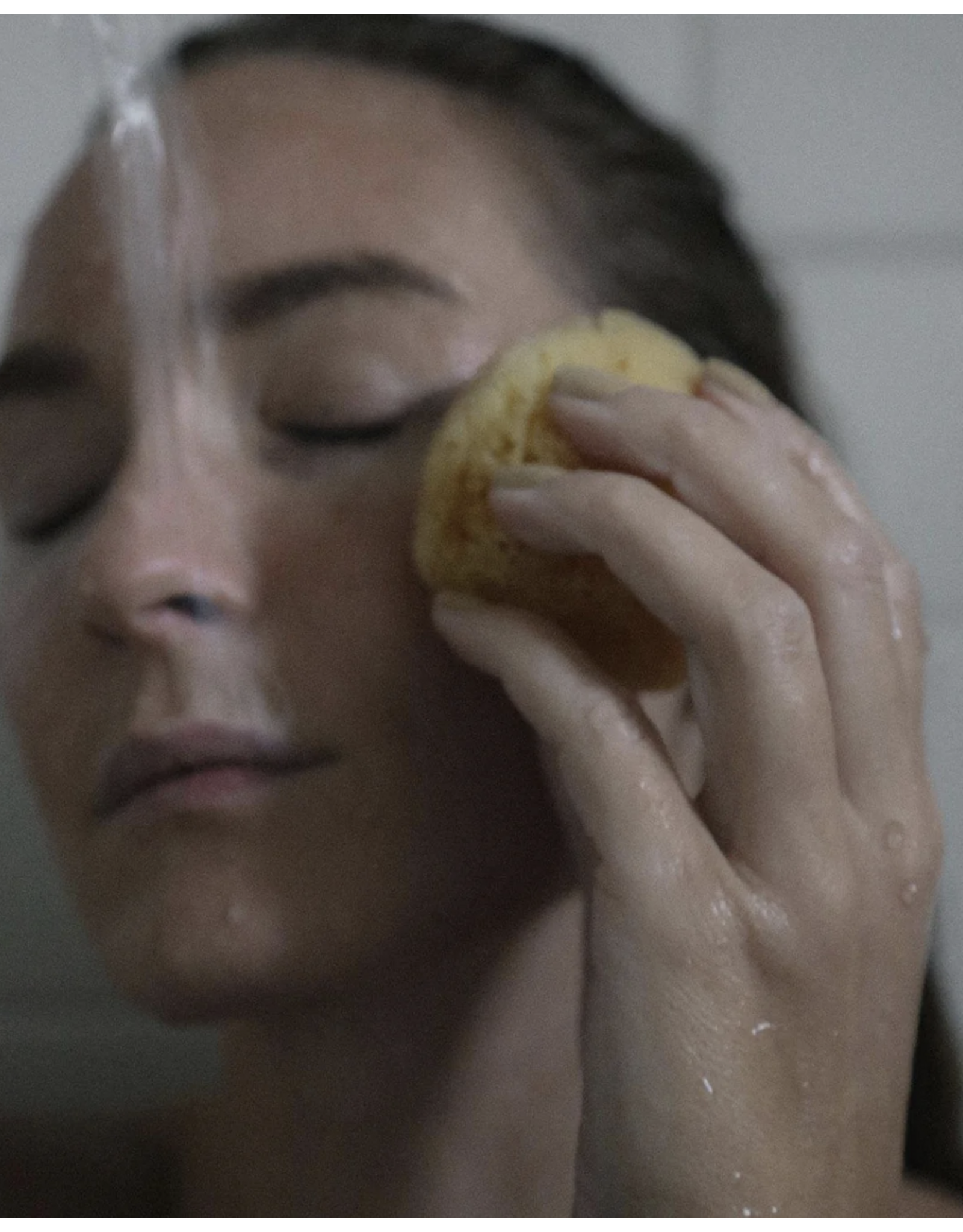 Silk Sea Sponge