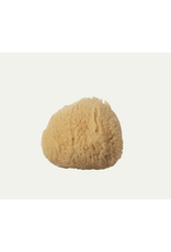 Silk Sea Sponge