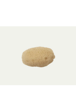 Silk Sea Sponge