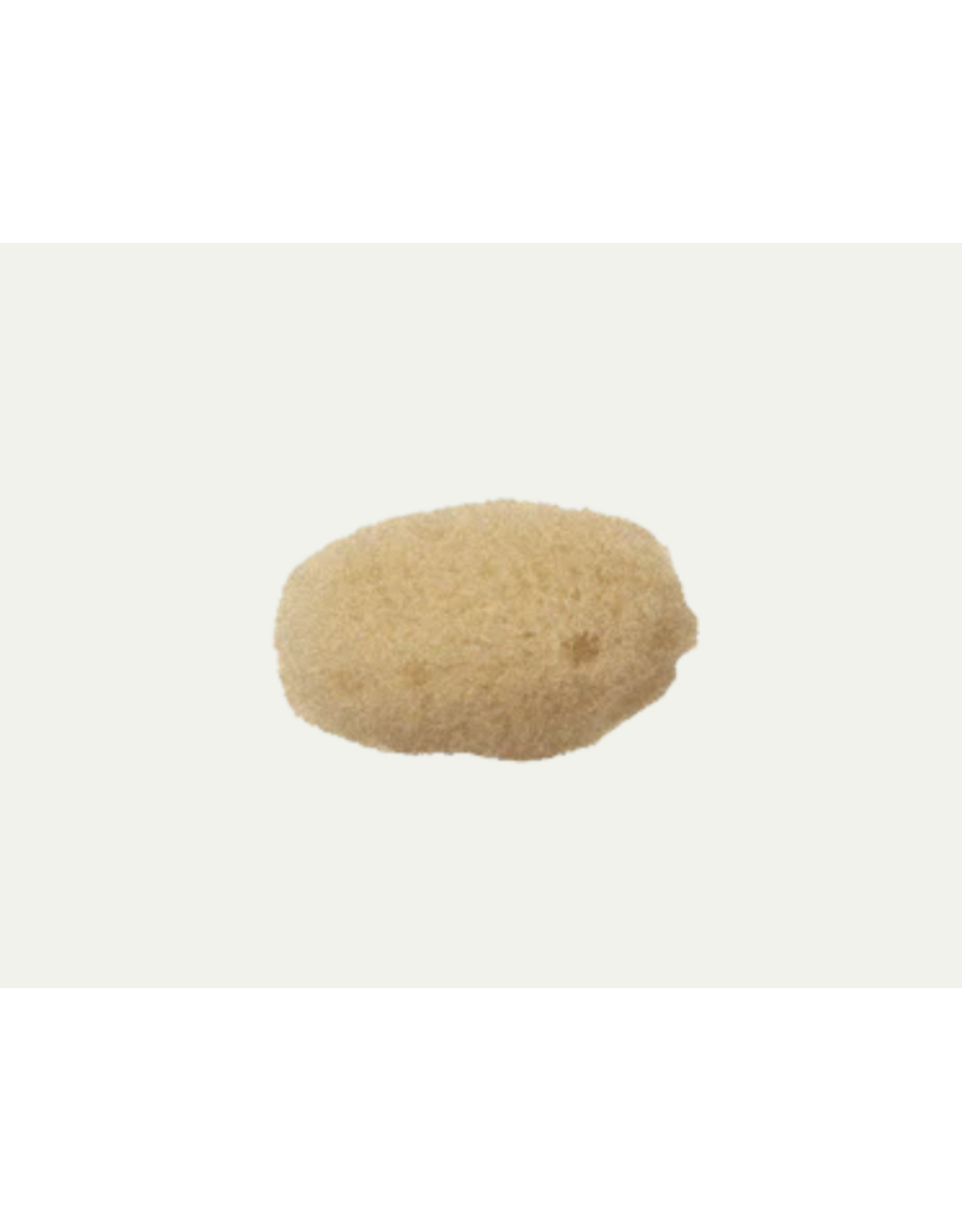 Silk Sea Sponge