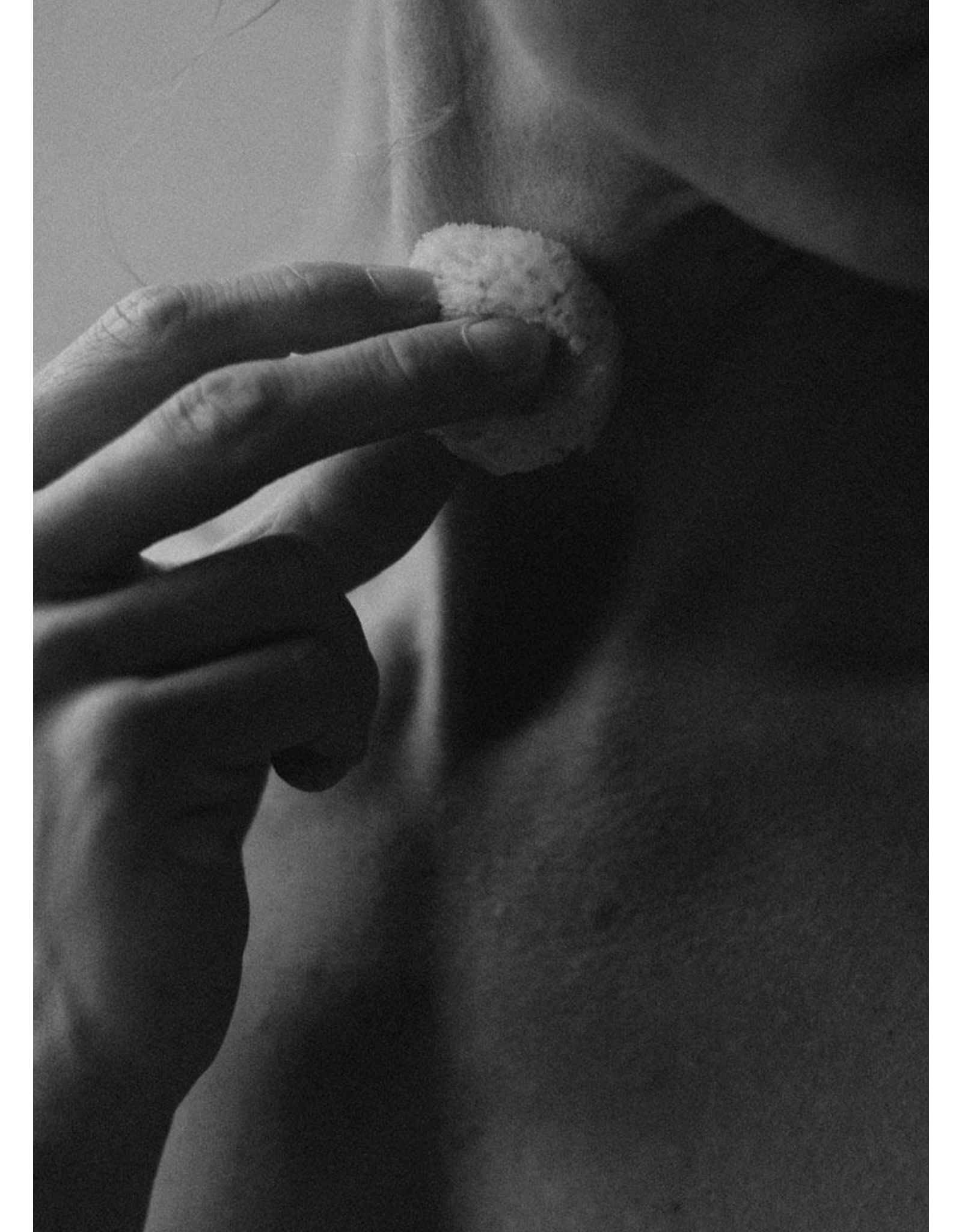 Silk Sea Sponge