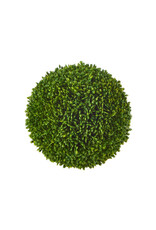 5.5" Sedum Ball