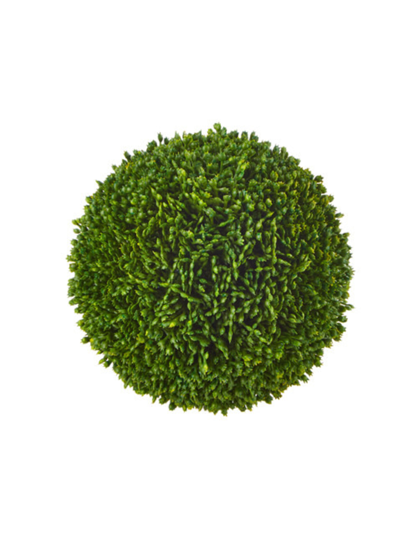 5.5" Sedum Ball
