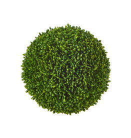 5.5" Sedum Ball