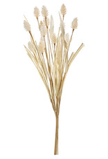 16" Bunny Tail Pampas Grass Bundle