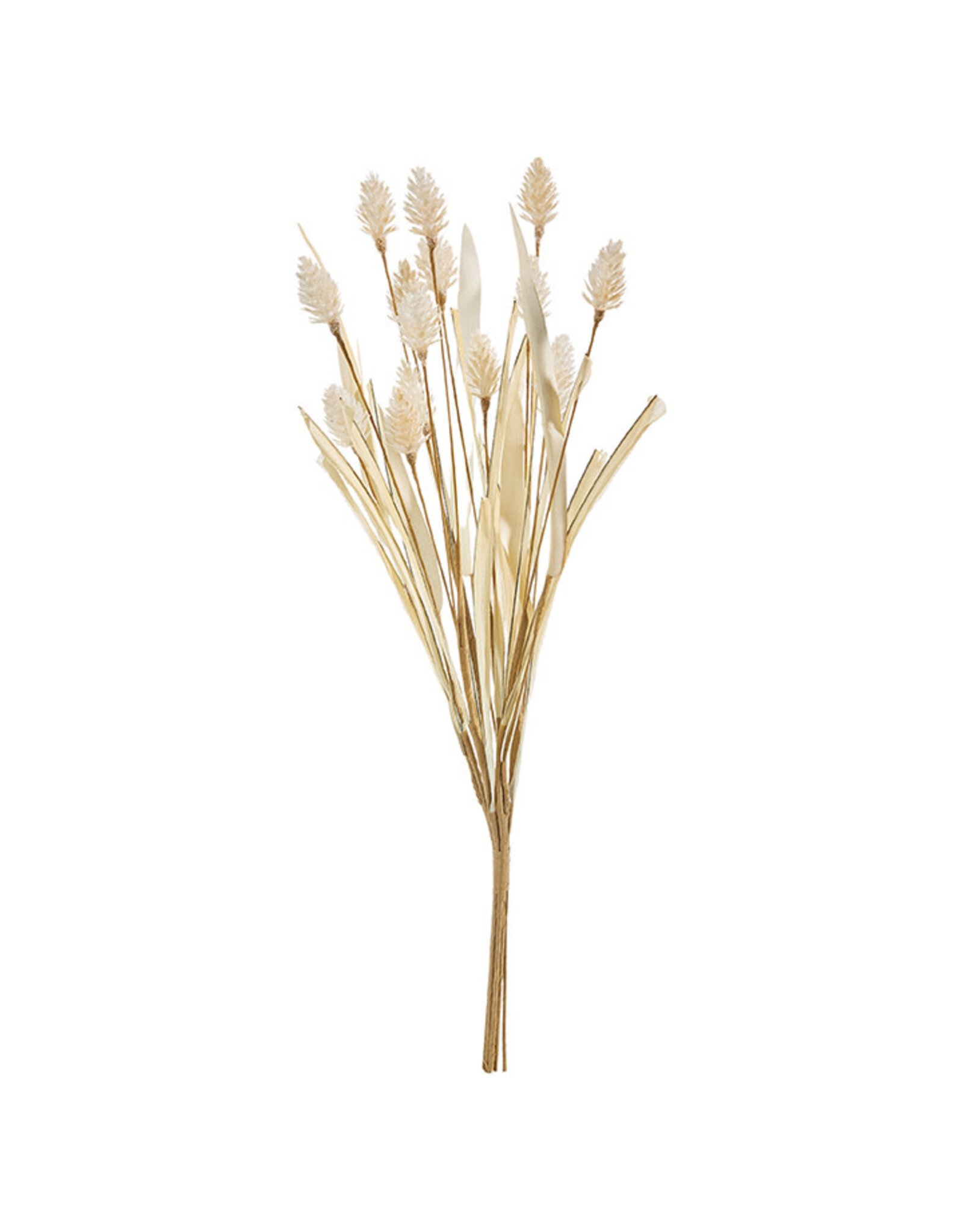 16" Bunny Tail Pampas Grass Bundle