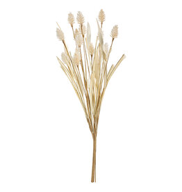 16" Bunny Tail Pampas Grass Bundle