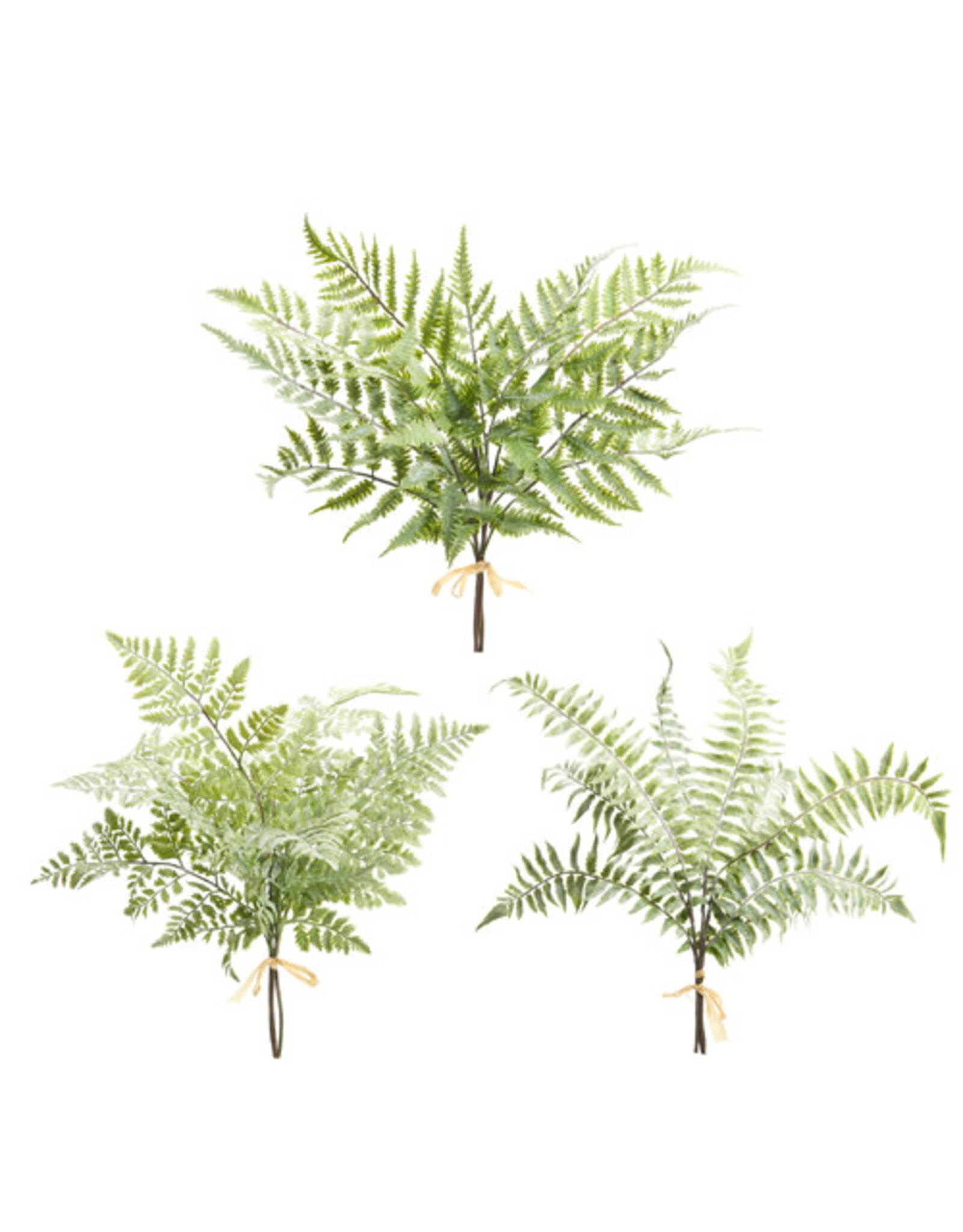 20" Soft Touch Fern Bundle, Assorted
