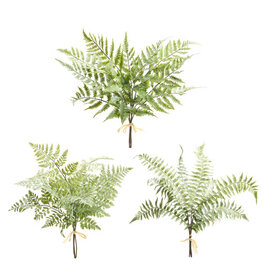 20" Soft Touch Fern Bundle, Assorted