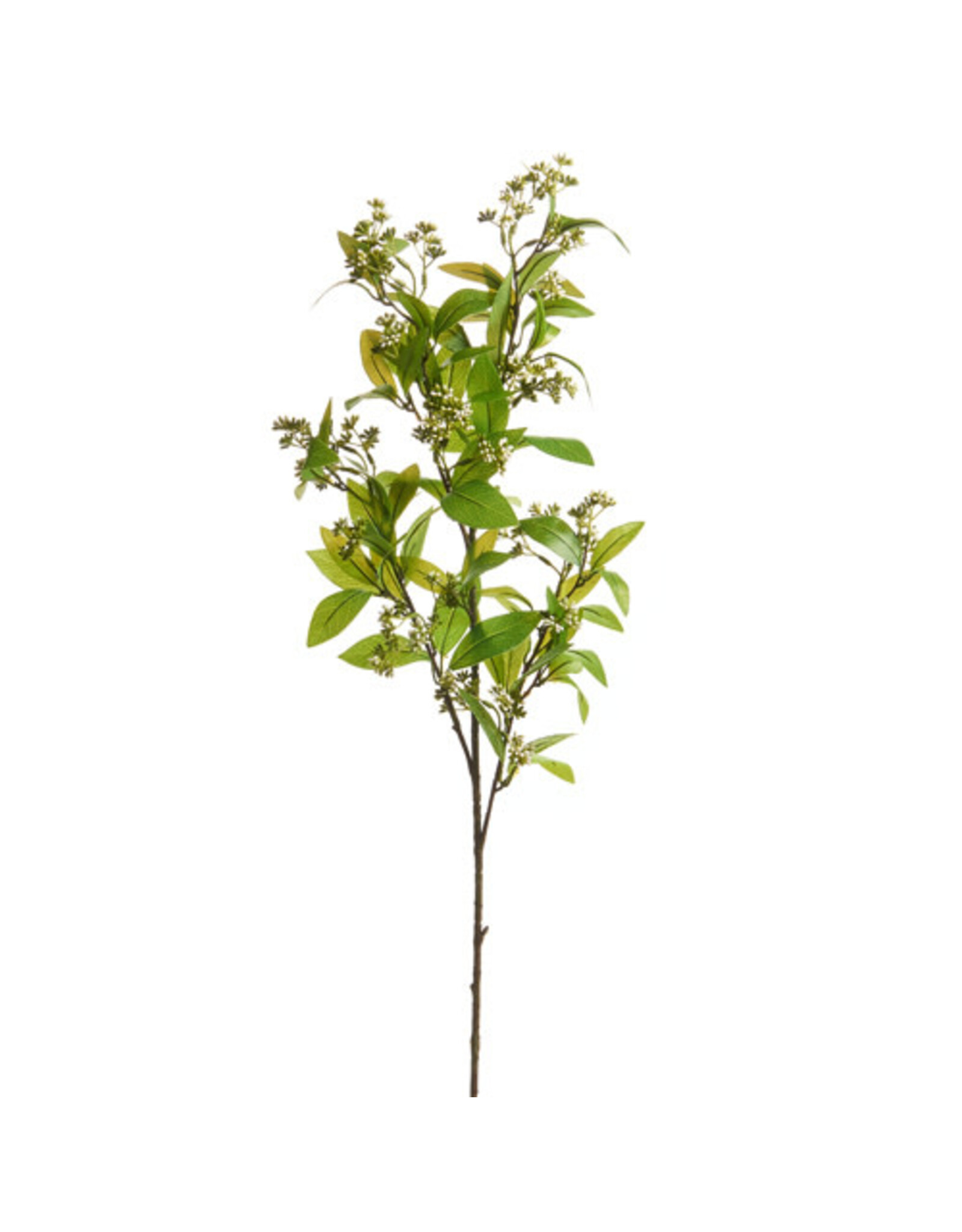 37" White Mountain Laurel Spray