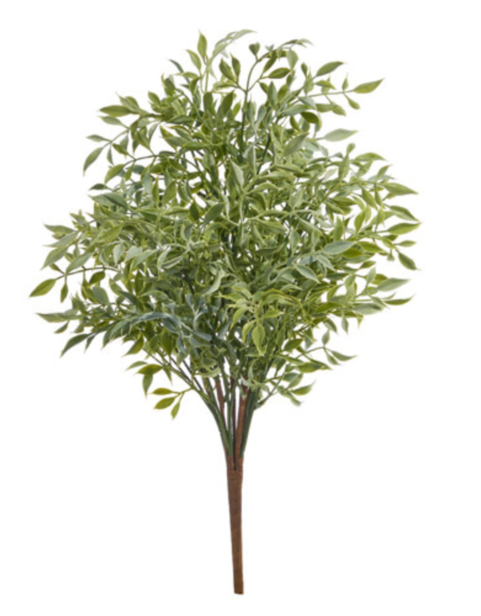 21" Soft Touch Ruscus Bush