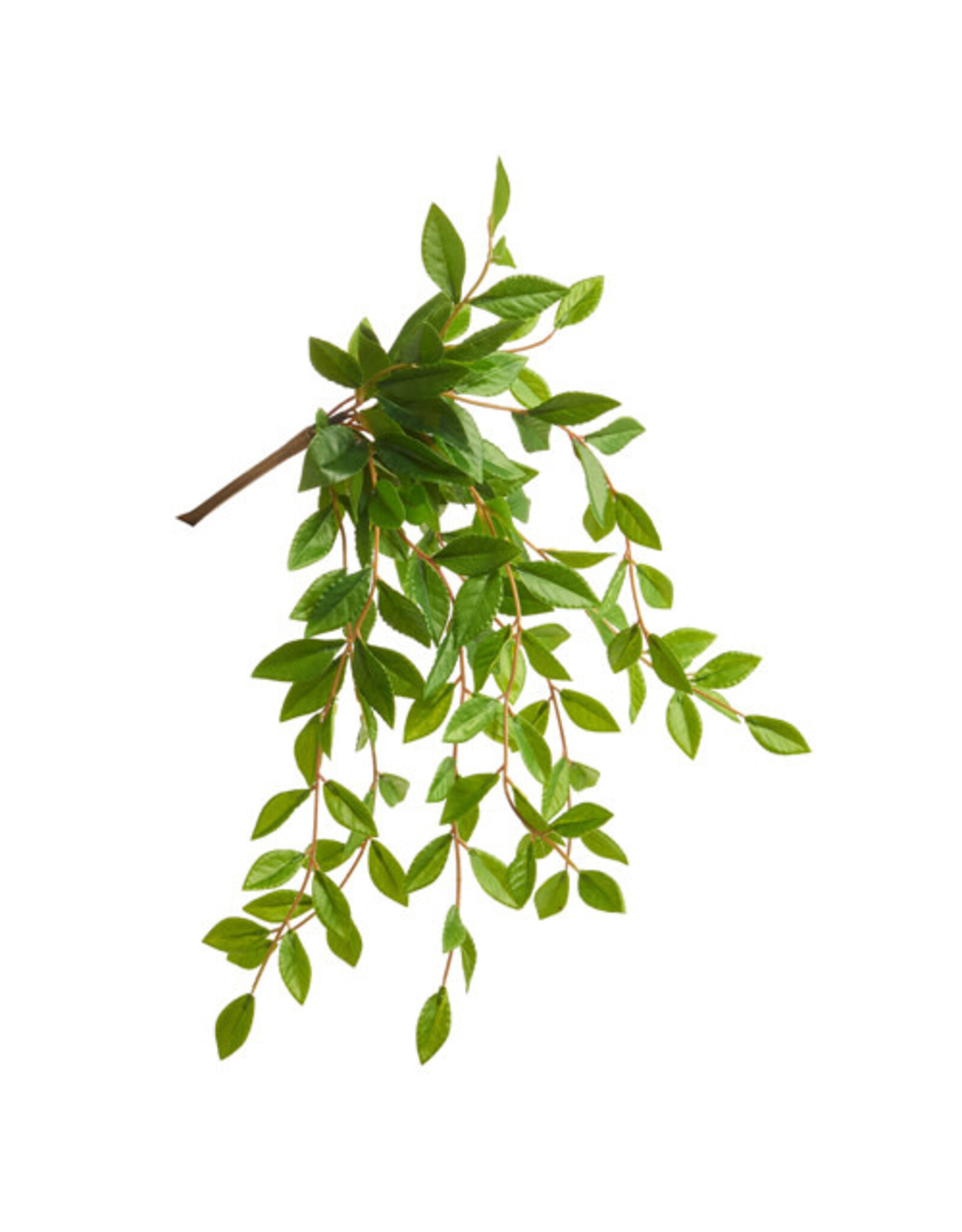 21" String of Pearls Greenery Bush