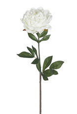 25" Real Touch White Peony Stem