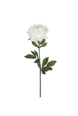 25" Real Touch White Peony Stem