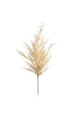 36" Tall Pampas Grass Spray