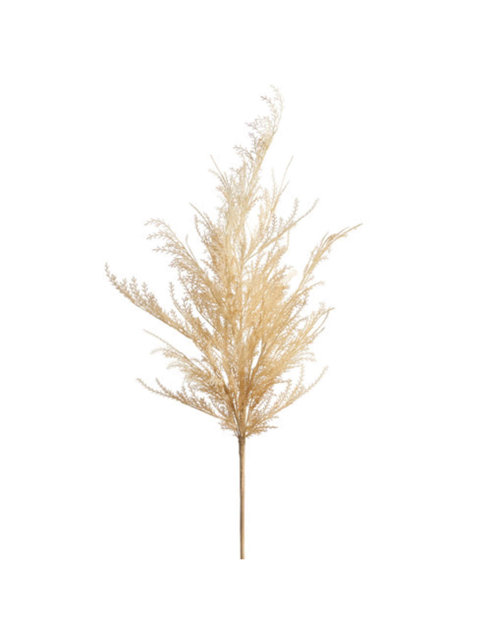 36" Tall Pampas Grass Spray