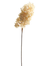 34" Dried Hydrangea Spray