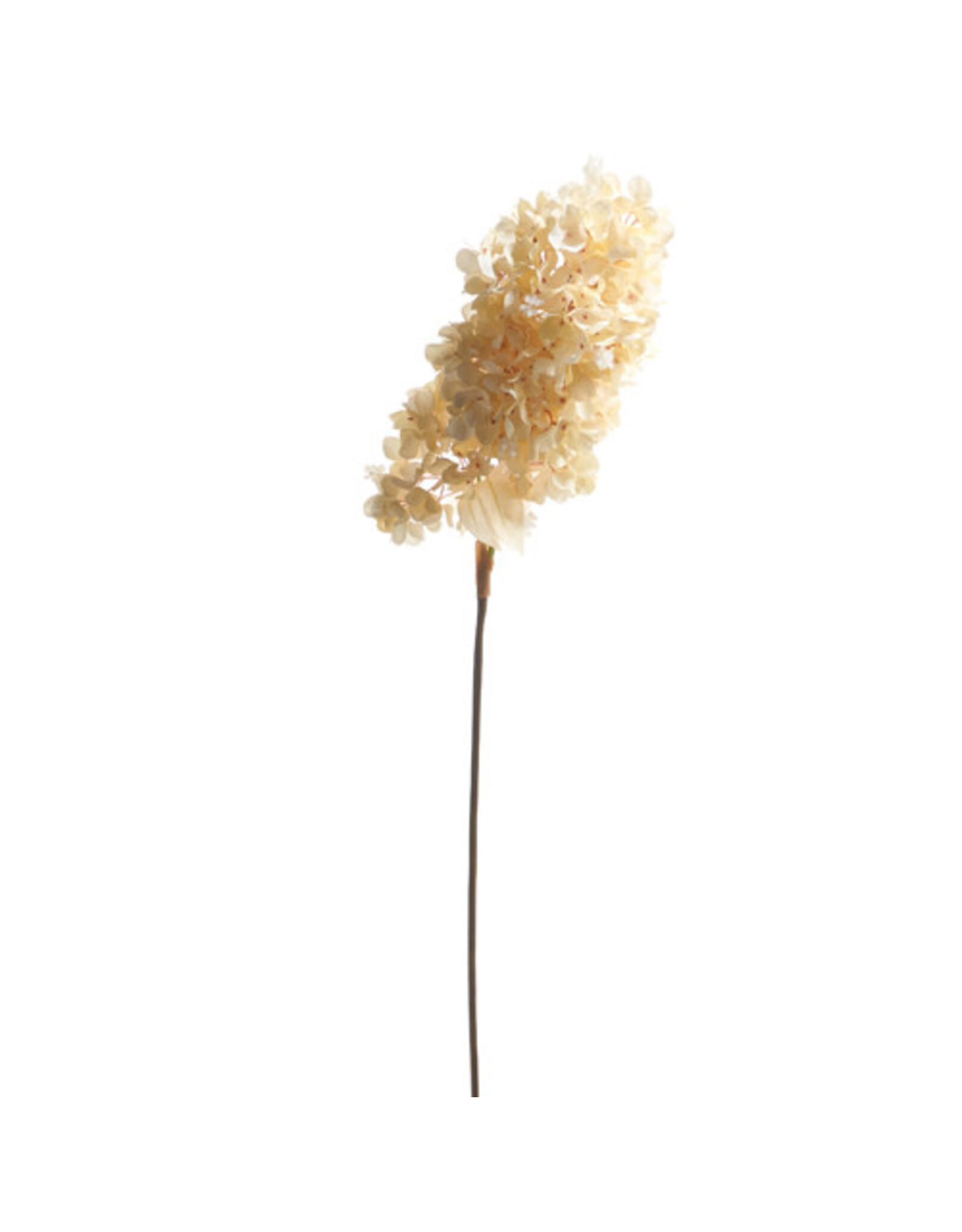 34" Dried Hydrangea Spray