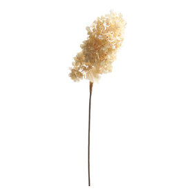 34" Dried Hydrangea Spray