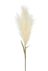 33" Pampas Grass Plume Stem