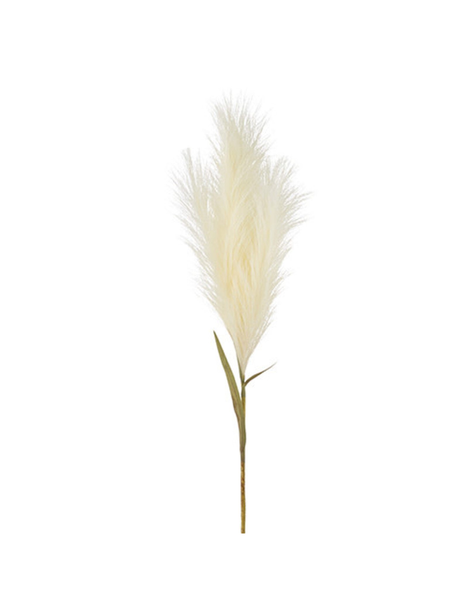 33" Pampas Grass Plume Stem