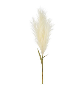 33" Pampas Grass Plume Stem