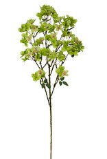 36" Green Hydrangea Spray