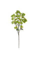 36" Green Hydrangea Spray