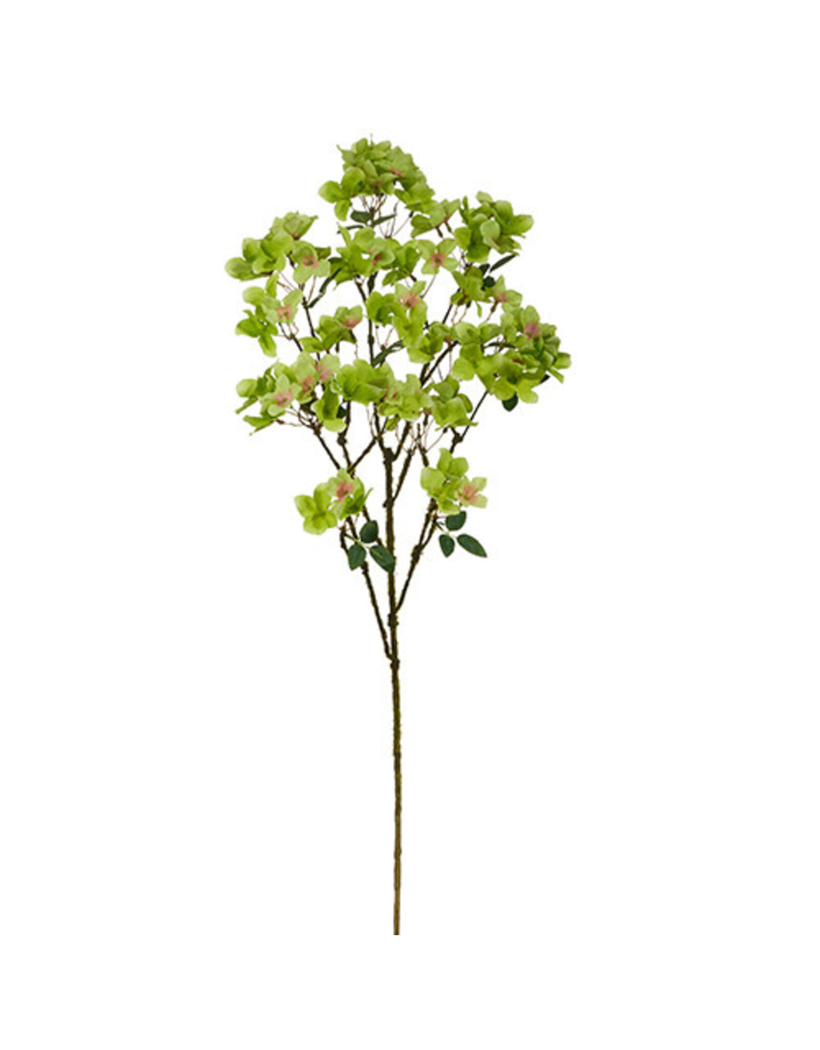 36" Green Hydrangea Spray