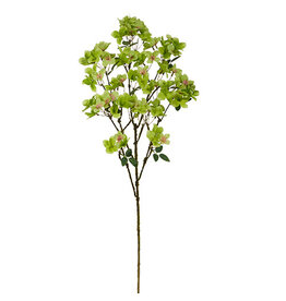 36" Green Hydrangea Spray