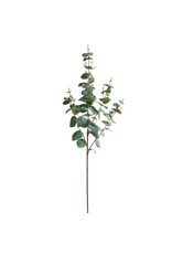 39" Eucalyptus Spray