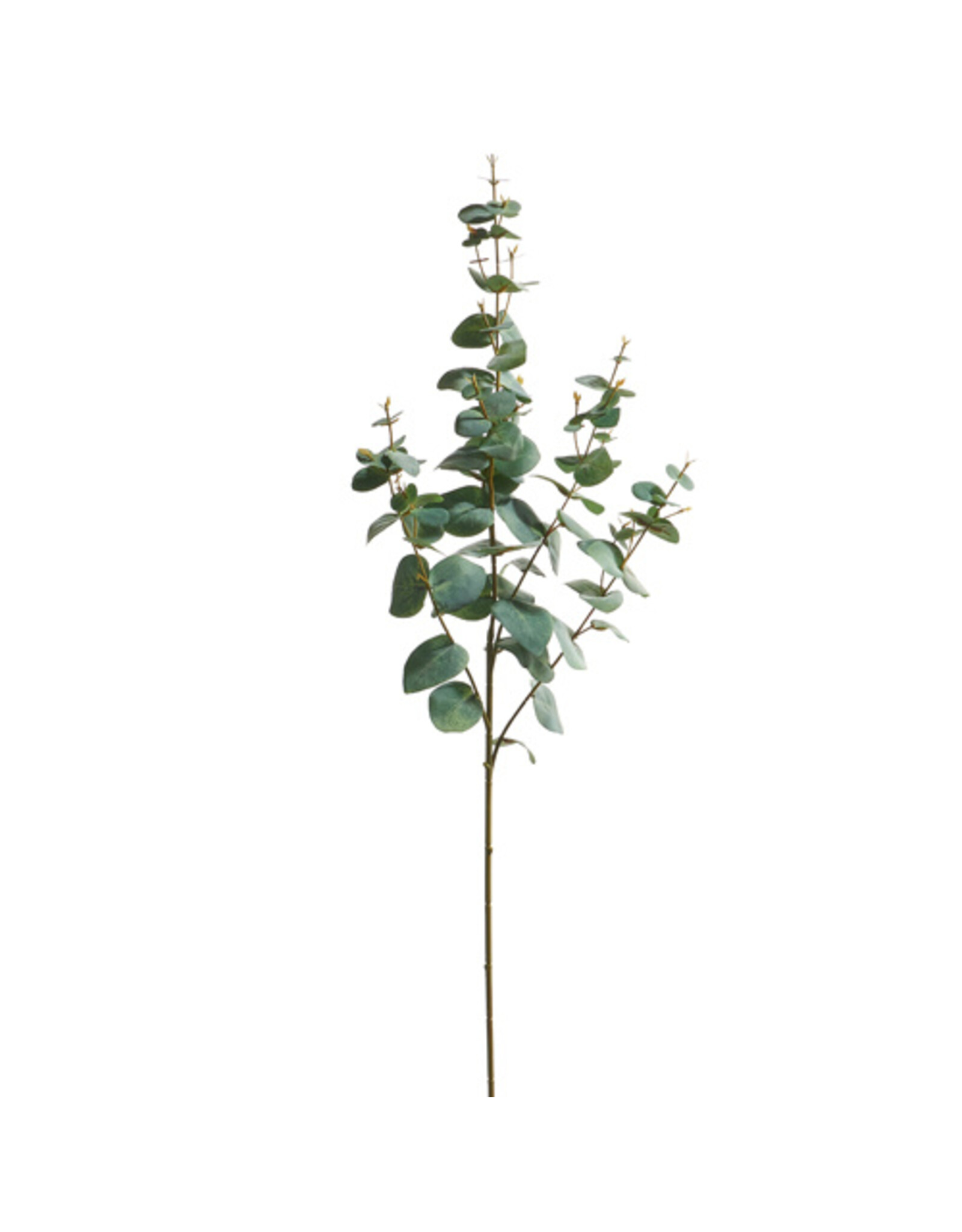 39" Eucalyptus Spray